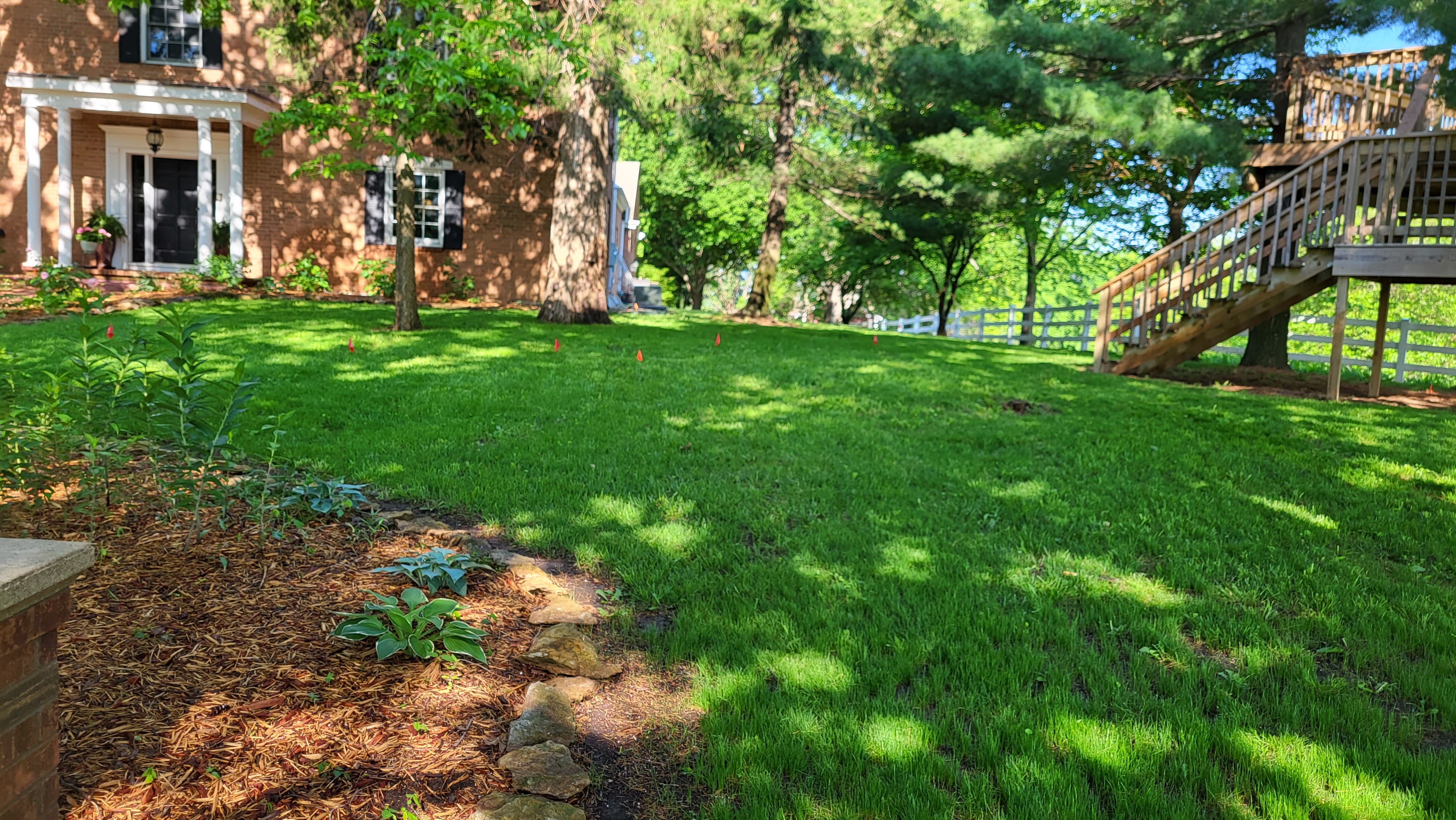 Shady Spots